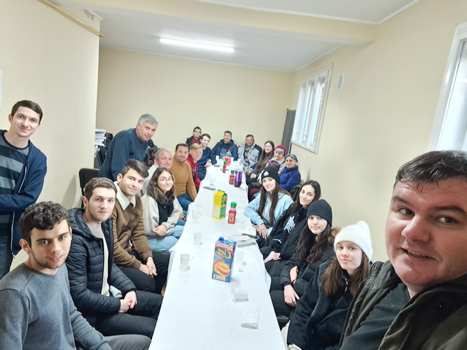 Mobilizare